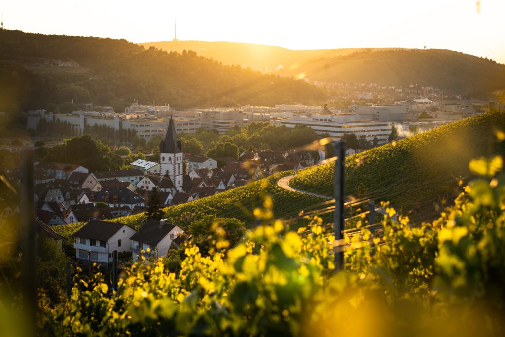 Neckarradweg