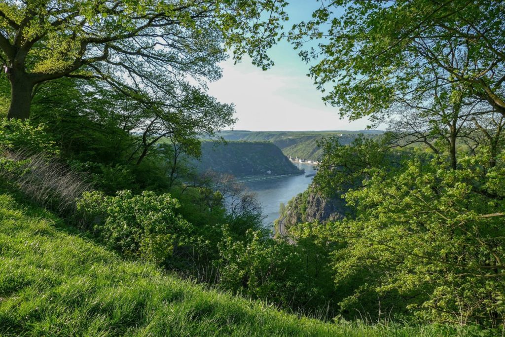 Loreley Rheinradweg
