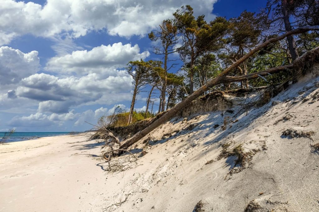 Darßer Weststrand Ostseeradweg