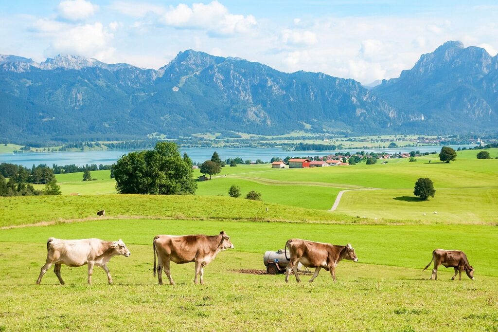 Allgäu Forggensee