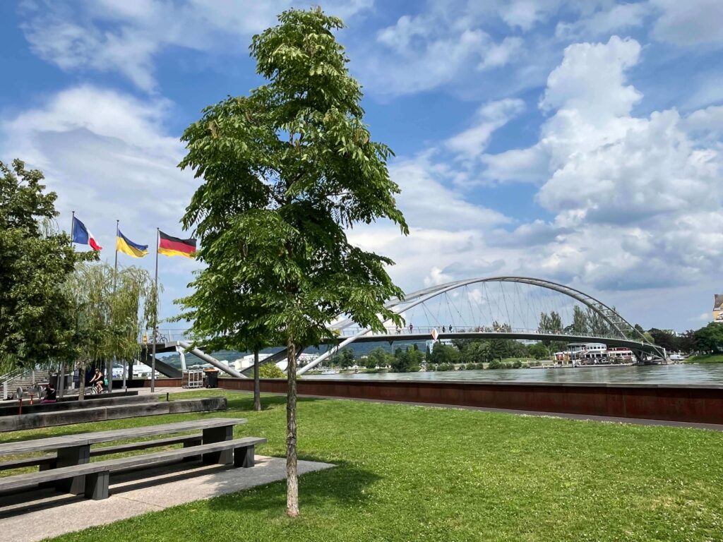 Dreiländerbrücke Rheinradweg