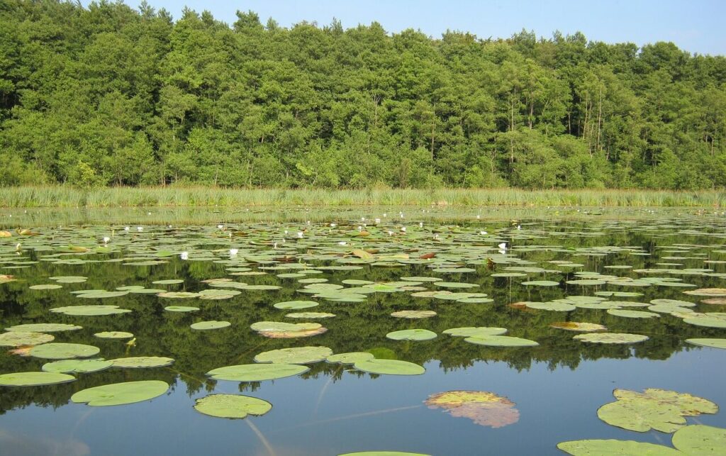 Müritz Nationalpark Fahrradtour